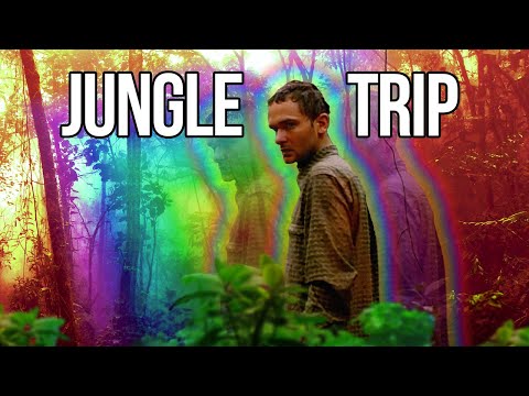 Experiencing Ayahuasca in the Amazon