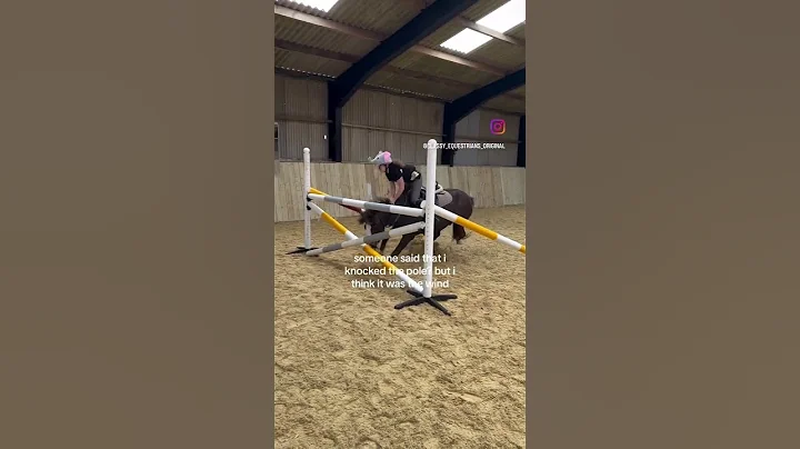 Must’ve been the wind…. #horse #fail #equestrian #equestrianfail #horsefall #horsefail #pony