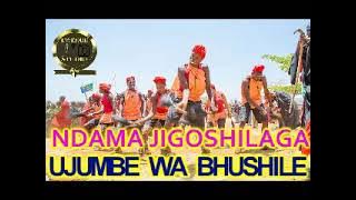 NDAMA JIGOSHILAGA UJUMBE WA BHUSHILE  BY LWENGE STUDIO