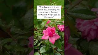 💔 The Day They Try to Break You