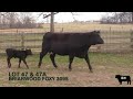 BWF 2026 Lot 47 47A 