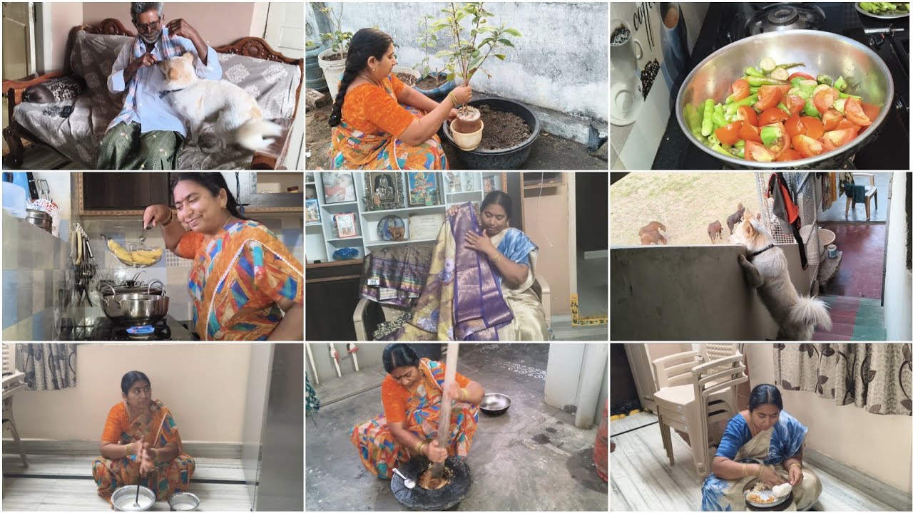 గోడఎక్కి మరీ తొంగి చూస్తున్నాడు🤦తక్కువ రేటికిచీరలు తెచ్చుకున్నాను అండోయ్🫣సాయంత్రం3 గంటలకు ఇంటి పనులు