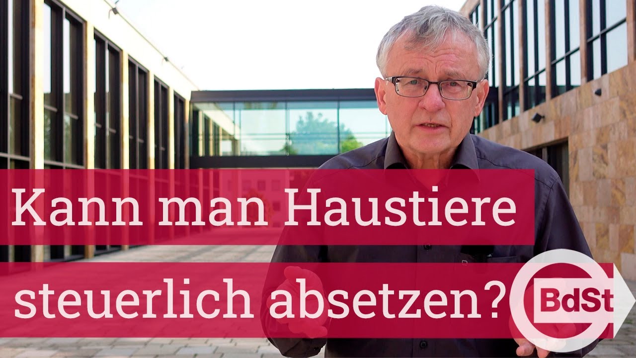 Tierkosten-Steuertipp: Kann man Haustiere von der Steuer absetzen?