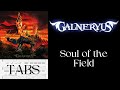 [OLD] Galneryus - Soul of the Field