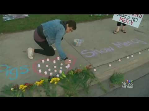 CTV News   Activists Hold Pig Vigil