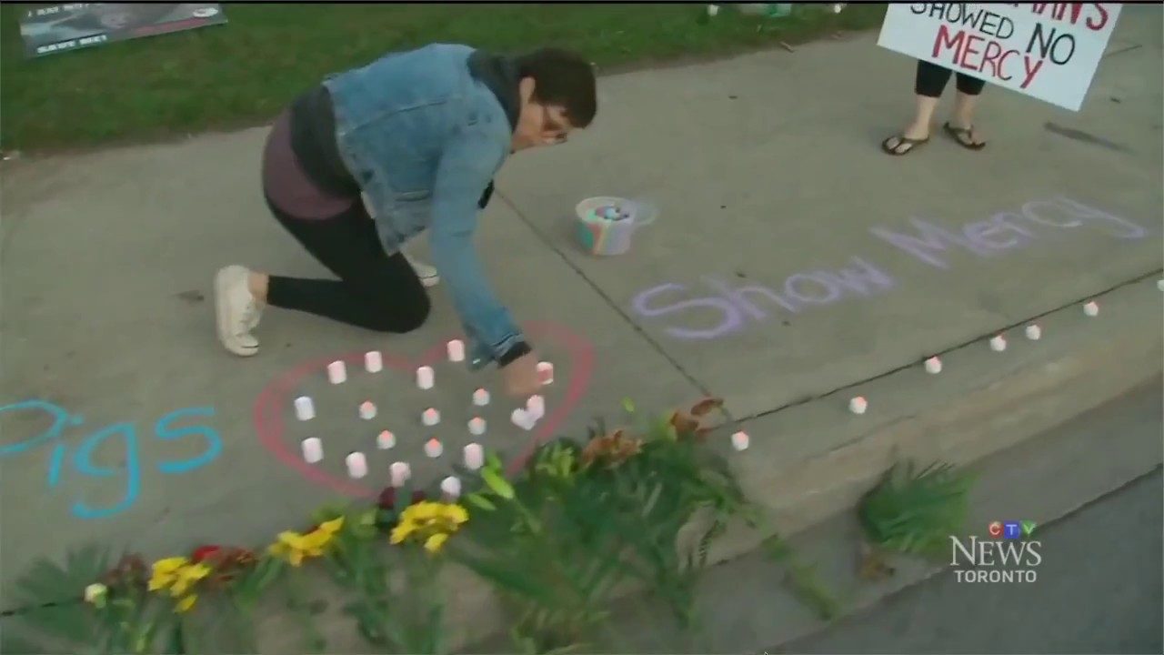 CTV News   Activists Hold Pig Vigil
