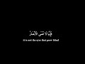 افلم يسيروا في الارض فتكون لهم قلوب يعقلون بها