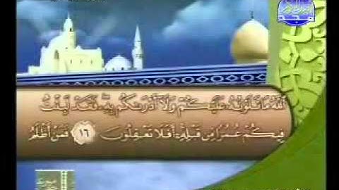 سورة يونس 1  25 الشيخ محمد عبدالكريم