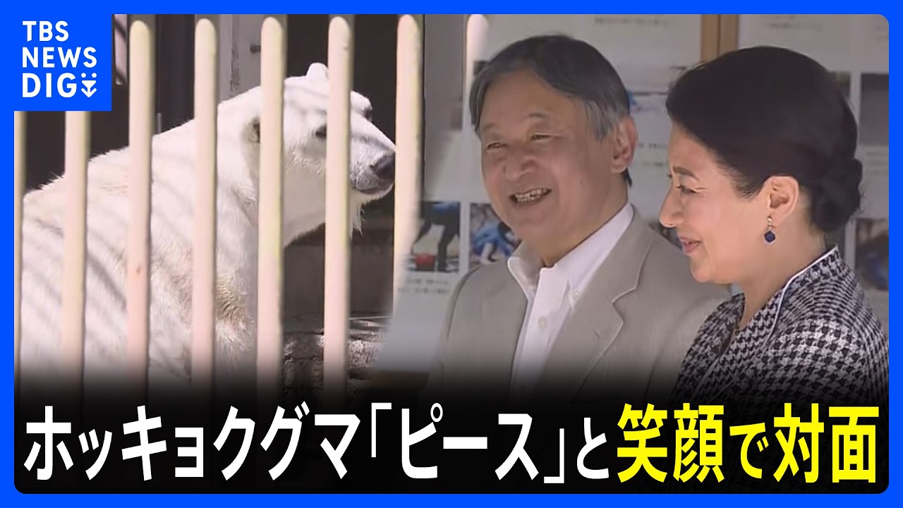 「耳が小さい？」「可愛いですね」天皇皇后両陛下　ホッキョクグマ“ピース”と笑顔で対面　愛媛県で動物園へ｜TBS NEWS DIG