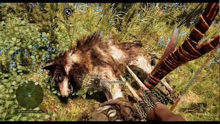 Far Cry Primal - Rare Stripe Wolf Location | Easy Hunting with Double Bow and Brown Bear