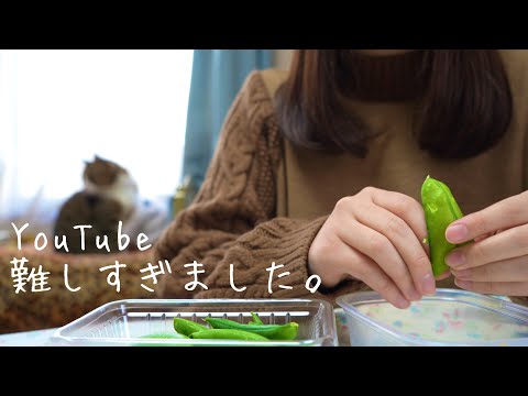 仕事辞めて無職になってYoutuber目指してみたけど難しすぎました。