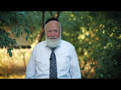 פרשת במדבר | אנחנו סופרים - סופרים אותנו