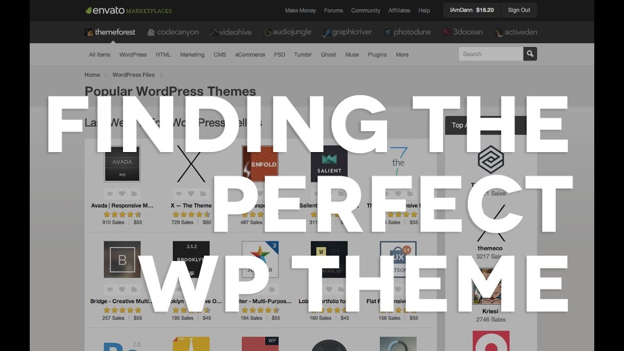 06 Picking out the perfect Wordpress theme - YouTube