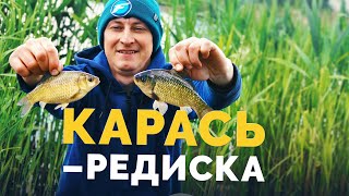 КАРАСЬ НА ПОПЛАВОК! Ловим на хлеб! РЫБАЛКА НА ГОРОДСКОМ ОЗЕРЕ!