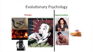 Lecture 5  Cognitive Limits:Evolutionary Psychology