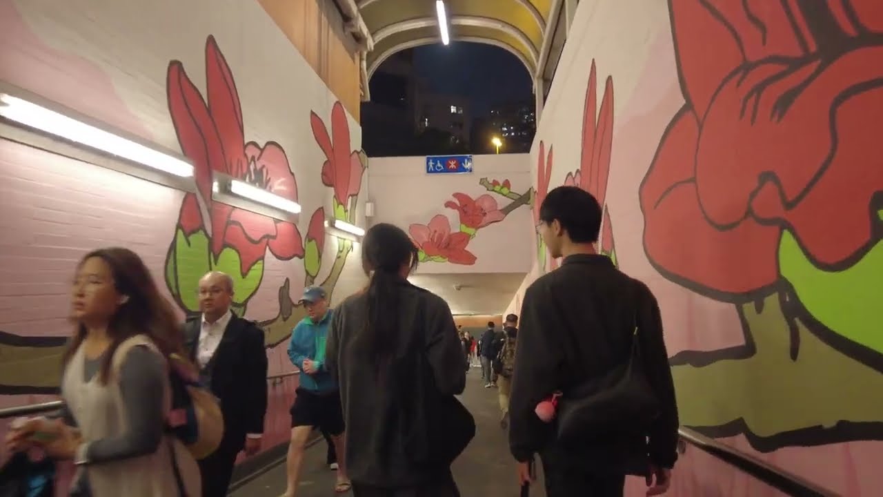 徒步黃大仙 City walk in Wong Tai Sin 由鑽石山港鐵站到彩虹港鐵站 from Diamond Hill MTR to Choi Hung MTR