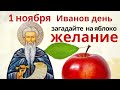 Покормите в Иванов день птиц, они вместе с зернами заберут с собой семейные беды