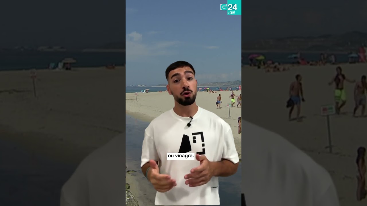 🏖️ GALICIA | SEGUE estes PASOS se che PICA unha CARABELA PORTUGUESA!