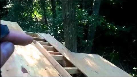 Tree House Video VIII