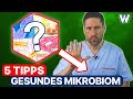 5 Tipps für ein gesundes Mikrobiom: Stärken Sie Ihre Darmflora für ein funktionierendes Immunsystem! Mp3 Song