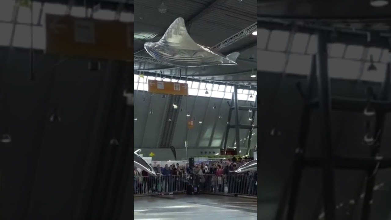 Watch: Flying manta ray and dolphins at drone convention