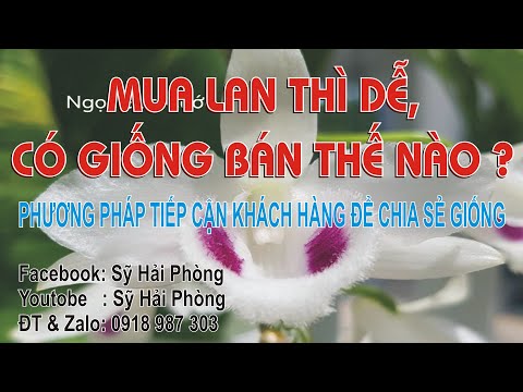 Mua lan thì dễ, có giống bán lan thế nào? | Foci