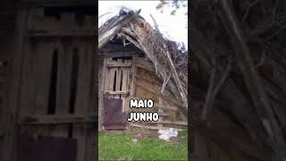 #shortviral #naofloppa #trend #edit #kpop #shortvideo #shorts #superviral #humor #viral #audio #meme