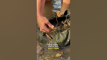 This is the #1 problem I see when visiting ponds.