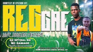 BEST OF REGGAE MIX 2025 SHINYALU REGGAE DEFENDERS BY DJ SPYRAL, FT BURNING SPEAR,GLEN WASHINGTON