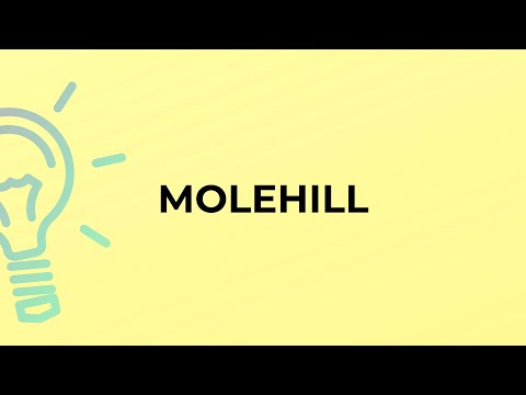 Vídeo: Molehill é uma palavra?