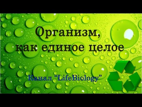 Организм, как единое целое