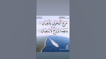 سورة الرحمن بصوت الشيخ ياسر الدوسري
