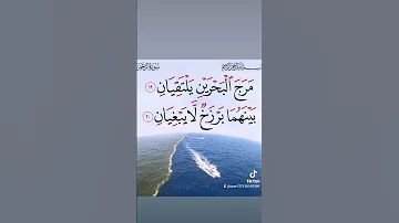 سورة الرحمن بصوت الشيخ ياسر الدوسري 