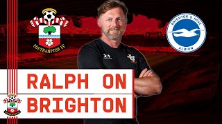 PRESS CONFERENCE: Hasenhüttl assesses home clash with Brighton