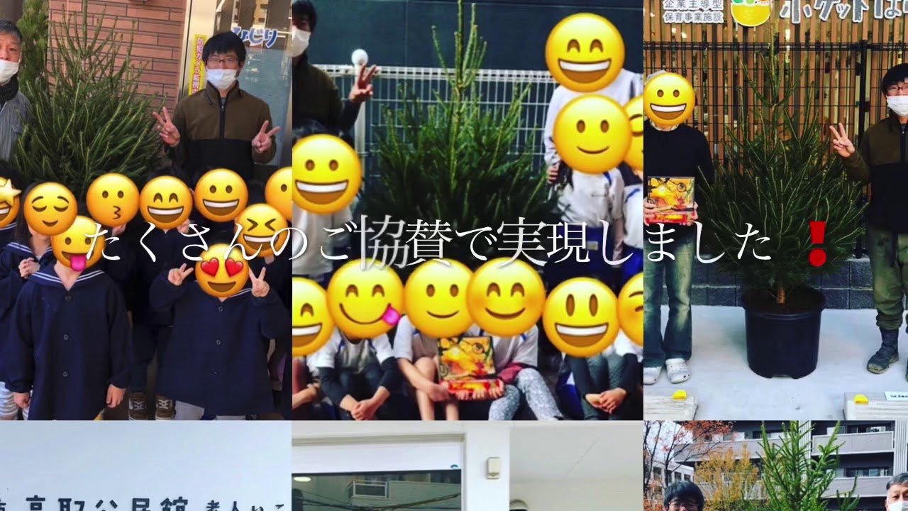 クリスマスツリープレゼント 緑の花壇プロジェクト Youtube クリスマスツリープレゼント 緑の花壇プロジェクト Youtube