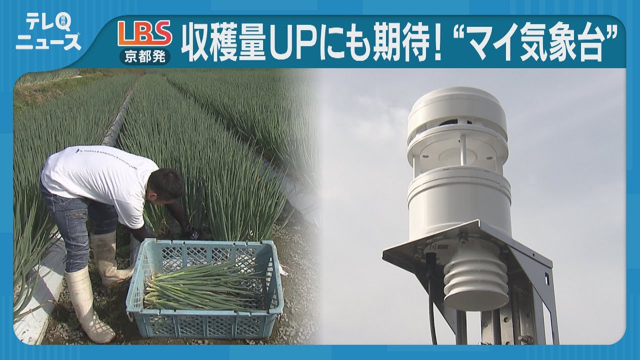 Fighting against abnormal weather: Small, communicating weather