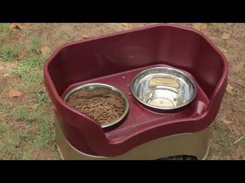 فيديو: كيفية منع الكلب من نثر الطعام من الوعاء