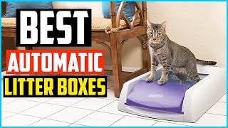 Top 5 Best Automatic Litter Boxes in 2020 Reviews