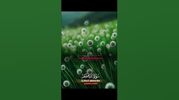 سورة ابراهيم #quran #دعاء #دويتو #صباحالخير #تيك_توك #دعاءمستجاب #لايك #حالاتواتس #صباح_الخير