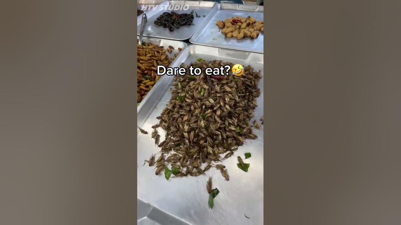 eat-bugs-in-thailand-shorts-travel-halal-youtube