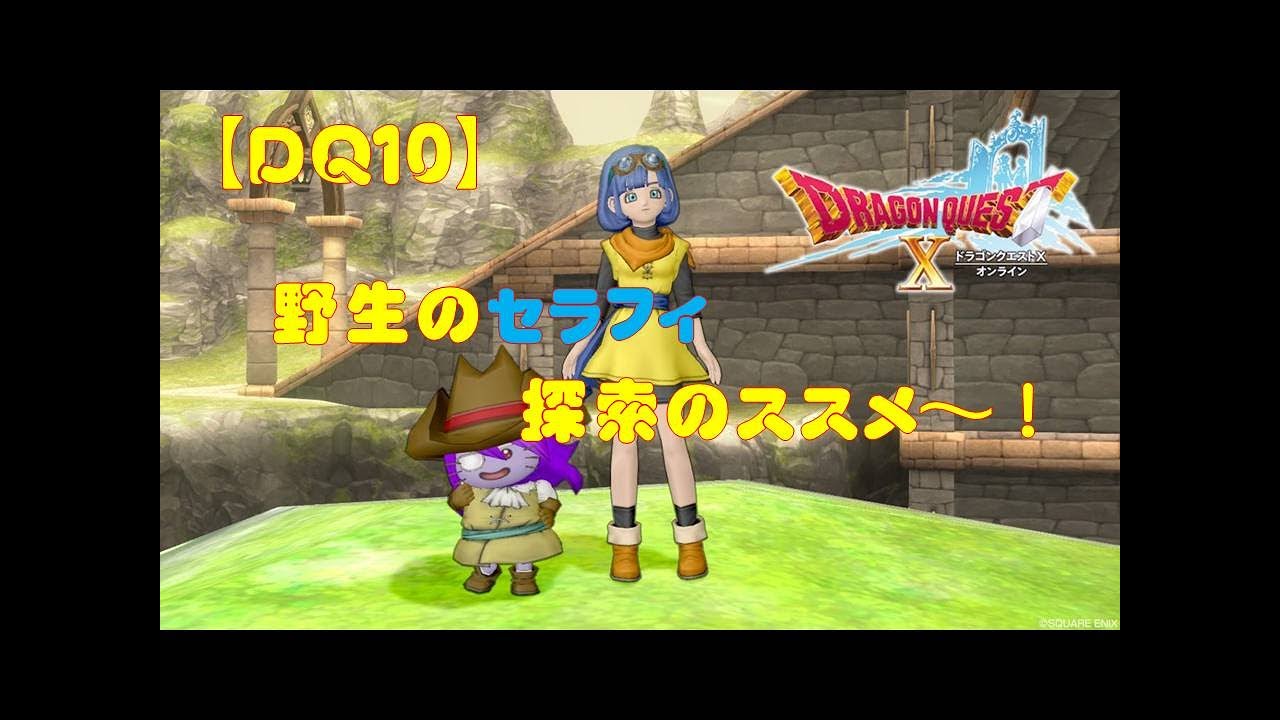 Dq10 野生のフォステイル 捜索のススメ Youtube