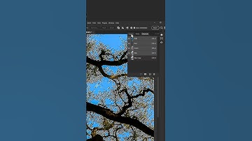 Remove Complex BG with Adobe  Ps