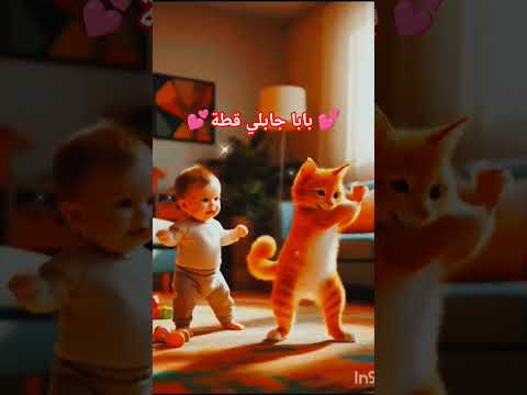 بابا جابلي قطة