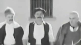 Ben Köpeği Bile Aşağılamam Allah C.c Yaratmış