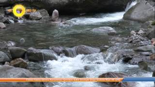 Fırtına Vadisi Deresi Korunması Gereken Saklı Ekolojik Doğa Sistemi Rize 4K U Resimi