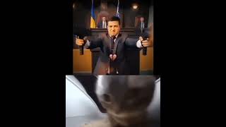 Cipi Cipi Capa Capa Meme explore  cat cats meme shorts