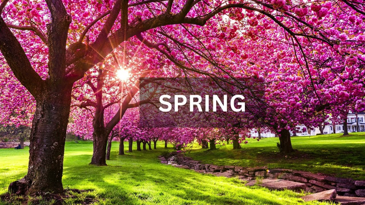 Four Seasons by Vivaldi in 432hz