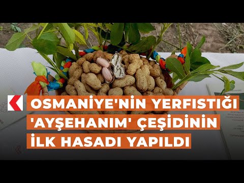 Loading video