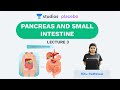 L3: Pancreas and Small Intestine | Human Physiology (Pre-medical-NEET/AIIMS) | Ritu Rattewal