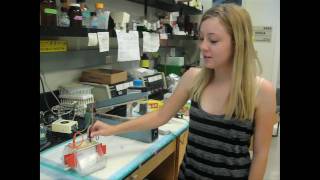Medical Student Research Program (MSRP) for 30-years